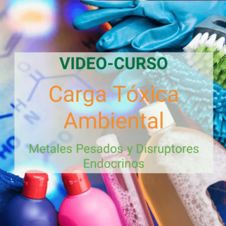 Carga Toxica Ambiental